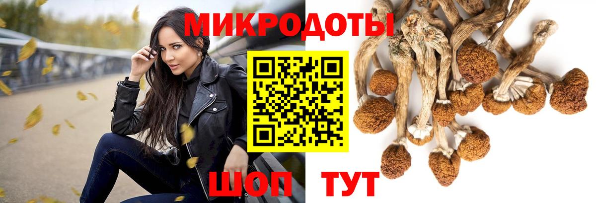 Ейск  Псилоцибиновые грибы мухоморы  магазин  наркотиков  Вход с VPN  Галлюциногенные грибы GOLDEN TEACHER 