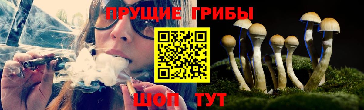 Псилоцибиновые грибы мицелий Ейск
